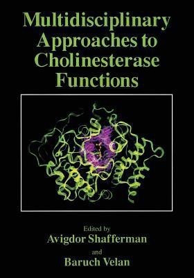 Multidisciplinary Approaches to Cholinesterase Functions(English, Paperback, unknown)