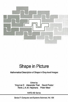 Shape in Picture(English, Paperback, unknown)
