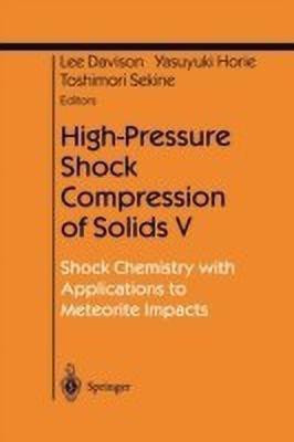 High-Pressure Shock Compression of Solids V(English, Paperback, unknown)