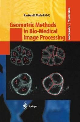 Geometric Methods in Bio-Medical Image Processing(English, Paperback, unknown)