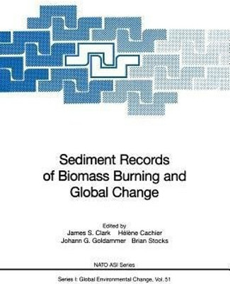 Sediment Records of Biomass Burning and Global Change(English, Paperback, unknown)