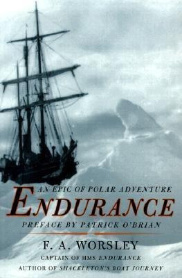 Endurance(English, Paperback, Worsley Frank Arthur)