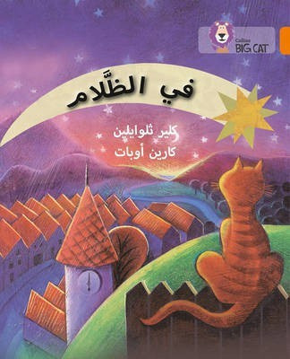 In the Dark(English, Paperback, Llewellyn Claire)