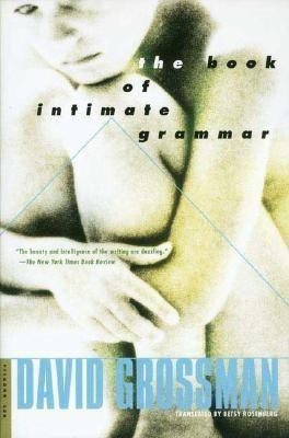 The Book of Intimate Grammar(English, Paperback, Grossman David)