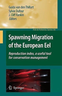 Spawning Migration of the European Eel  - Reproduction Index, a Useful Tool for Conservation Management(English, Hardcover, unknown)