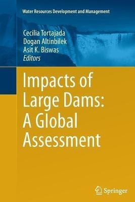 Impacts of Large Dams: A Global Assessment(English, Paperback, unknown)