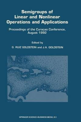 Semigroups of Linear and Nonlinear Operations and Applications(English, Paperback, unknown)