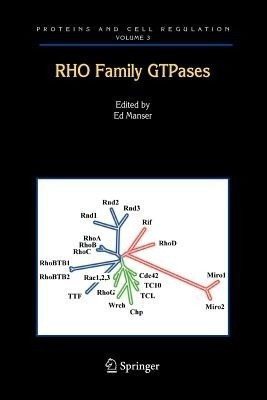 Rho Family GTPases(English, Paperback, unknown)