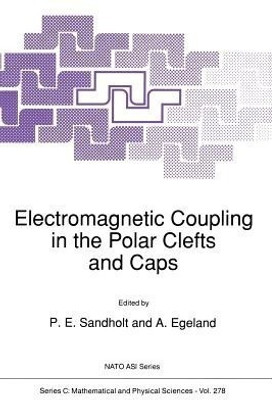 Electromagnetic Coupling in the Polar Clefts and Caps(English, Paperback, unknown)