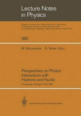 Perspectives on Photon Interactions with Hadrons and Nuclei(English, Paperback, unknown)