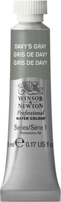 Winsor & Newton Professional Water Colour - Tube of 5 ML - Davy's Gray (217)(Set of 1, Davy's Gray)