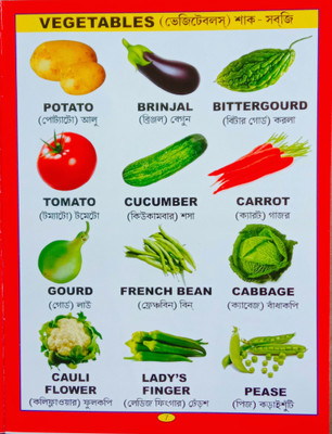 English To Bengali Language Word Book(Paperback, Editorial Team)