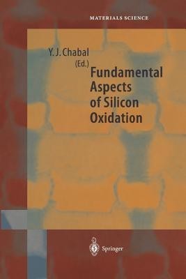 Fundamental Aspects of Silicon Oxidation(English, Paperback, unknown)