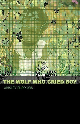 The Wolf Who Cried Boy(English, Paperback, Burrows Ainsley)