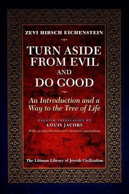 Turn Aside from Evil and Do Good(English, Paperback, Eichenstein Zevi Hirsch)