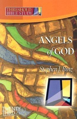 The Angels of God(English, Paperback, Binz Stephen J.)