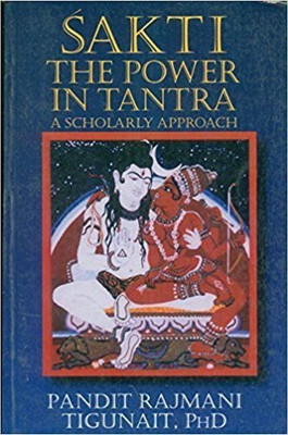 Sakti(English, Electronic book text, Tigunait Pandit Rajmani)