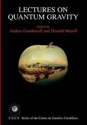 Lectures on Quantum Gravity(English, Paperback, unknown)