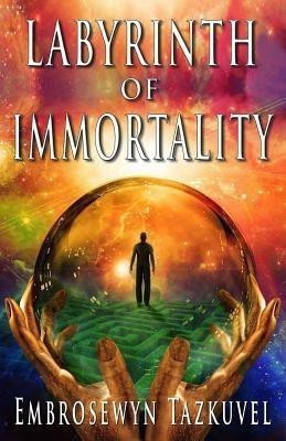 Labyrinth of Immortality(English, Paperback, Tazkuvel Embrosewyn)