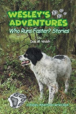Wesley's Adventures(English, Paperback, Walsh Dale M)