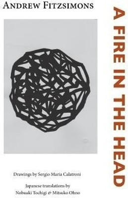 A Fire in the Head(English, Paperback, Fitzsimons Andrew)