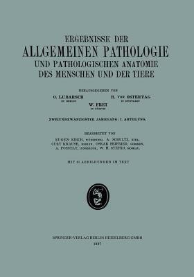 Ergebnisse der Allgemeinen Pathologie und Pathologischen Anatomie des Menschen und der Tiere(German, Paperback, Kirch Eugen)