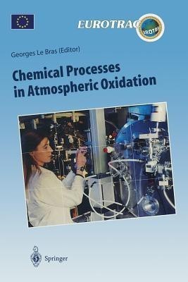 Chemical Processes in Atmospheric Oxidation(English, Paperback, unknown)