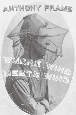 Where Wind Meets Wing(English, Paperback, Frame Anthony)