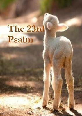 The 23rd Psalm(English, Paperback, Sizemore Terrie)