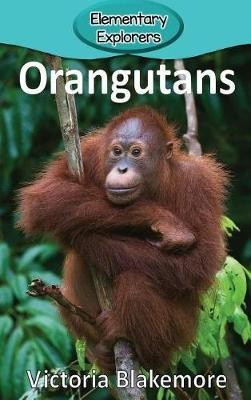 Orangutans(English, Hardcover, Blakemore Victoria)