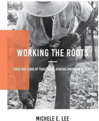 Working The Roots(English, Paperback, Lee Michele Elizabeth)