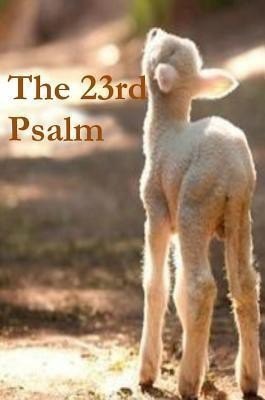 The 23rd Psalm(English, Hardcover, Sizemore Terrie)