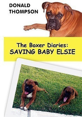The Boxer Diaries(English, Paperback, Thompson Donald REV)
