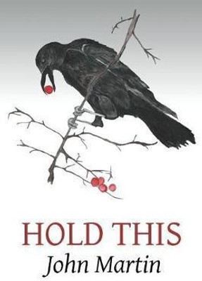 Hold This(English, Paperback, Martin John)