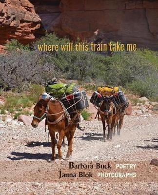 where will this train take me(English, Paperback, Buck Barbara)