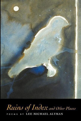 Ruins of Index and Other Places(English, Paperback, Altman Lee Michael)