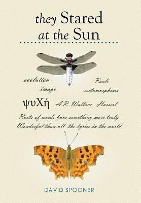 They Stared at the Sun(English, Hardcover, Spooner David)