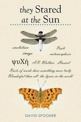 They Stared at the Sun(English, Paperback, Spooner David)