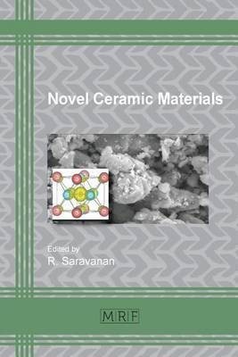 Novel Ceramic Materials(English, Paperback, unknown)