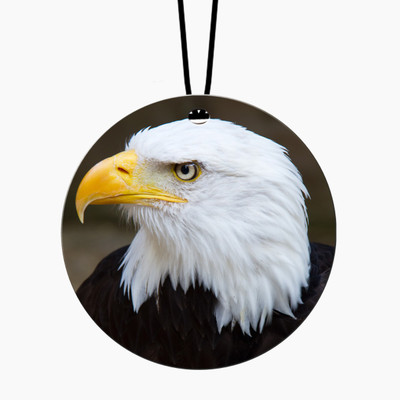 febiaa FB-p33-d10 Car Hanging Ornament(Pack of 1)