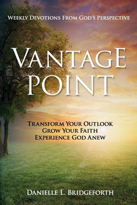 Vantage Point(English, Paperback, Bridgeforth Danielle L)