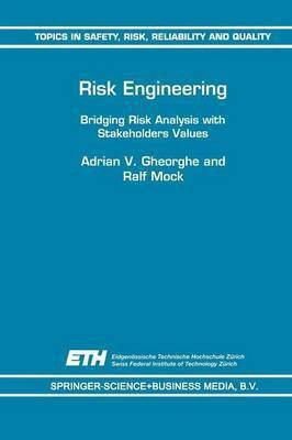Risk Engineering(English, Paperback, Gheorghe A.V.)