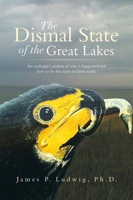 The Dismal State of the Great Lakes(English, Paperback, Ludwig Ph D James P)