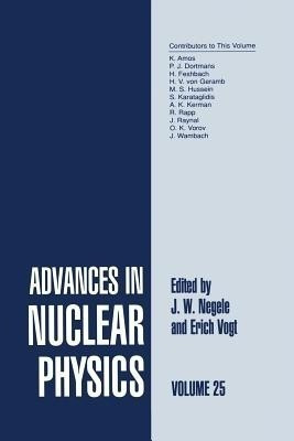 Advances in Nuclear Physics(English, Paperback, unknown)