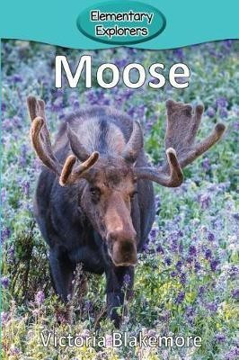 Moose(English, Paperback, Blakemore Victoria)