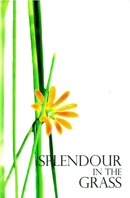 Splendour in the Grass(English, Paperback, unknown)