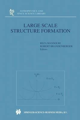 Large Scale Structure Formation(English, Paperback, unknown)