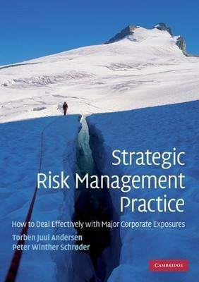 Strategic Risk Management Practice(English, Paperback, Andersen T. J.)