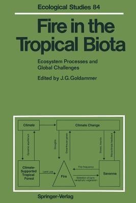 Fire in the Tropical Biota(English, Paperback, unknown)