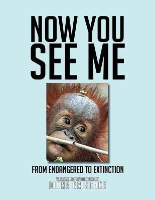 Now You See Me(English, Paperback, Brischke Diane)
